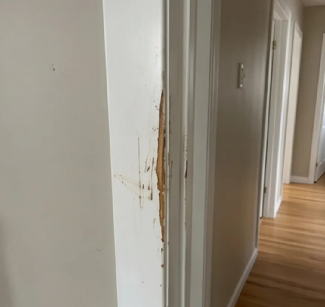 Avant - Corridor