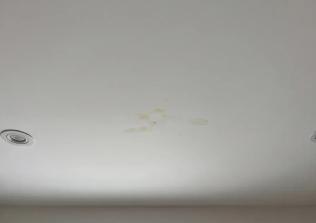 Avant - Plafond